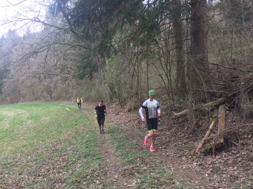 Datei 02.04.17 23 35 29.jpeg